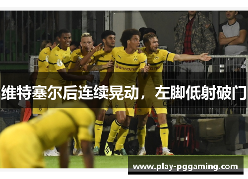 维特塞尔后连续晃动，左脚低射破门　